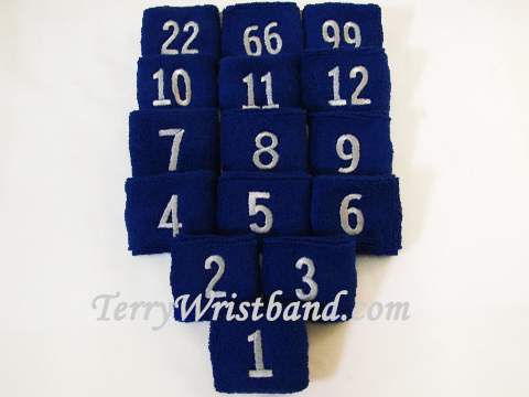 2.5" Blue Wristband with Number